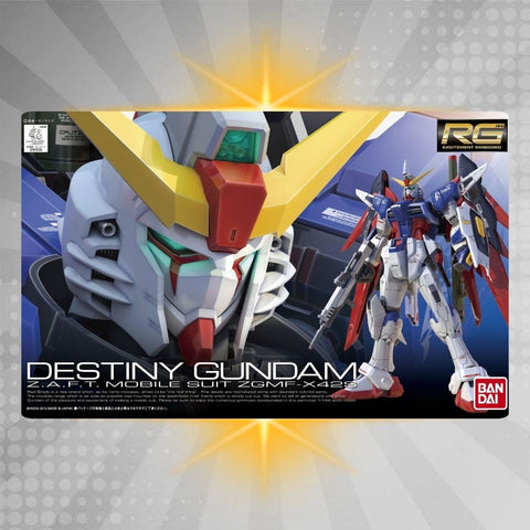 BANDAI Hobby RG 1/144 #11 Destiny Gundam